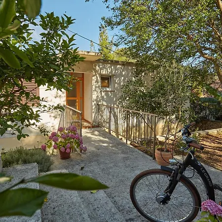 Mljet 2 - Seafront 2+2 Lejlighed Sobra